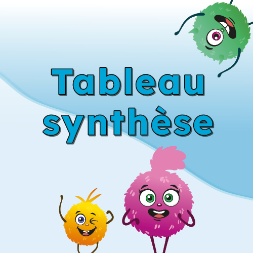 Tableau synthese de la collection